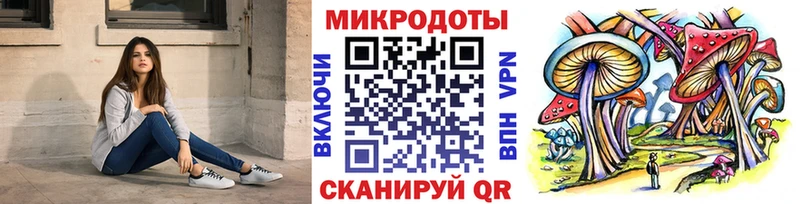 Псилоцибиновые грибы мухоморы  MEGA зеркало  Северодвинск 